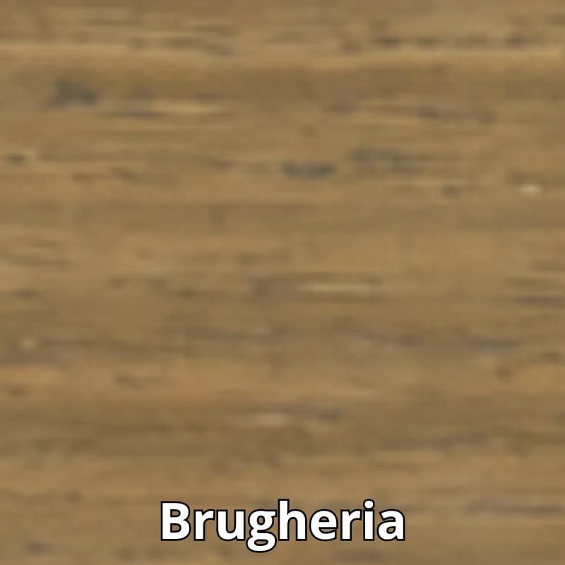 Campionatura brugheria