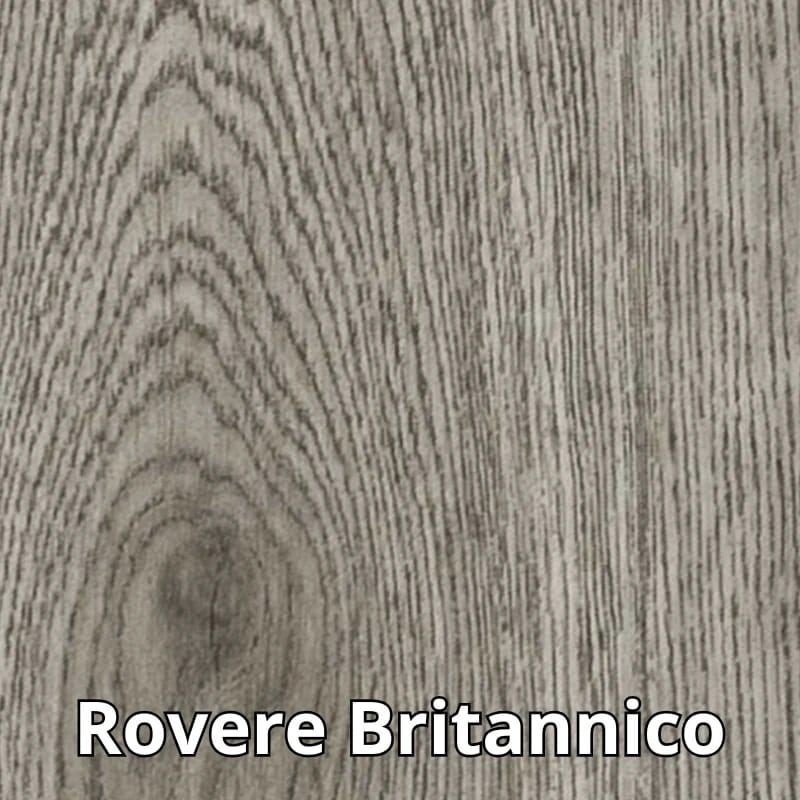 Campionatura Rovere Britannico